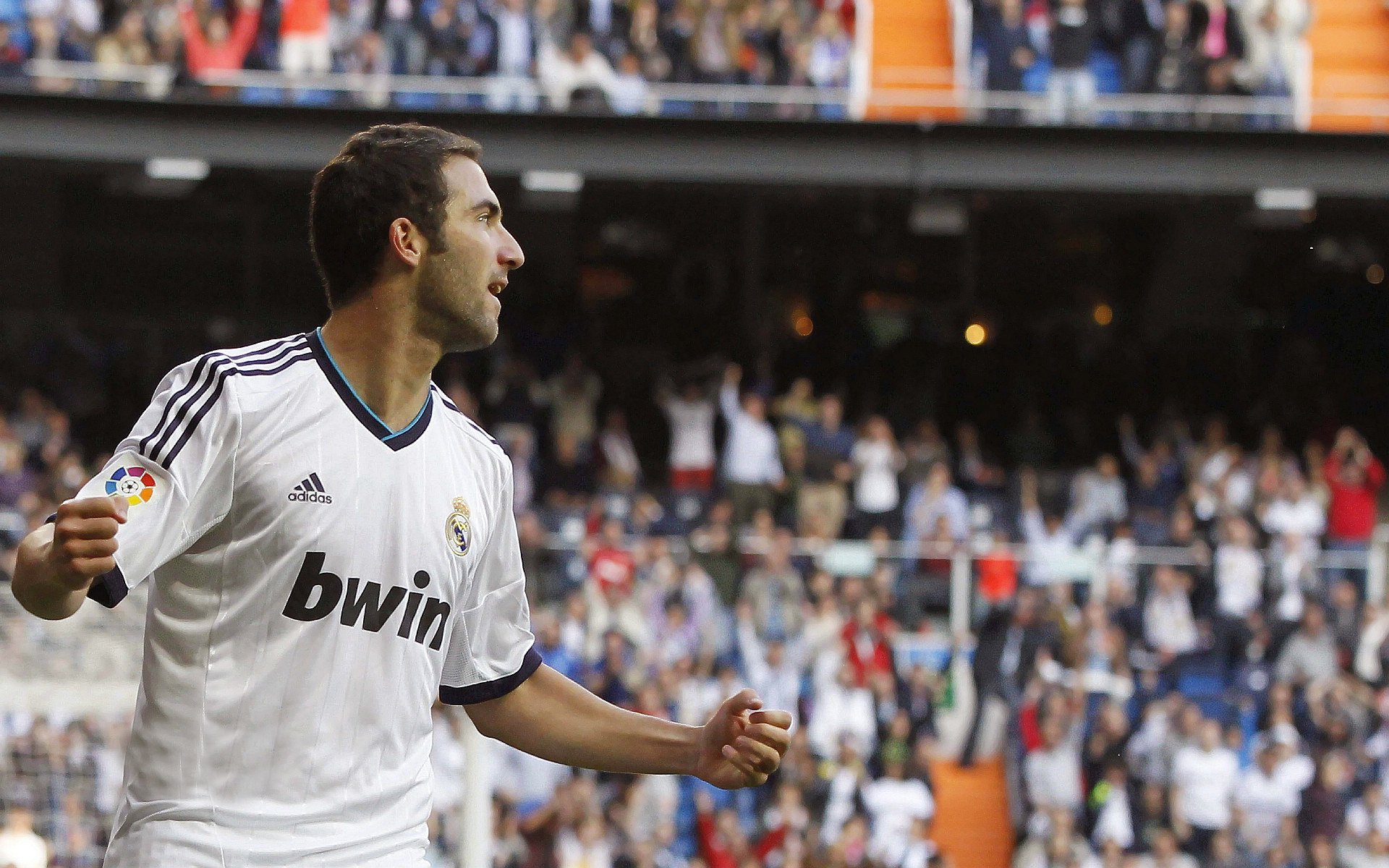 世界杯经典场面：历史永不褪色的瞬间，世界杯经典回顾